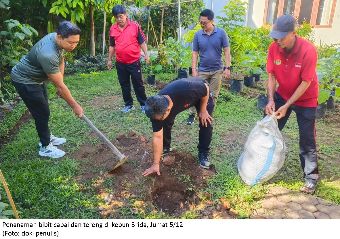 Brida Buleleng Terima Bibit Cabai dan Terong untuk Dukung Gerakan Menanam dan Cegah Inflasi Akhir Tahun