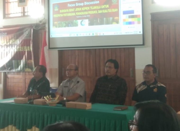 Budidaya Jeruk Keprok Tejakula Target 10 Ton Pertahun